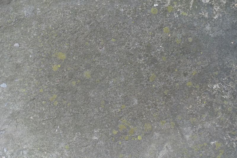 Concrete Staining Service