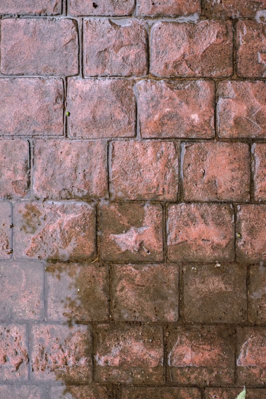 Decorative Concrete Repair in San Antonio, TX
